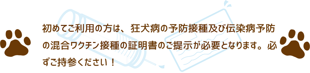 初回注意事項